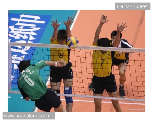 深圳排球队精英赛点评团队协作表现展现团结力量与战术配合的重要性